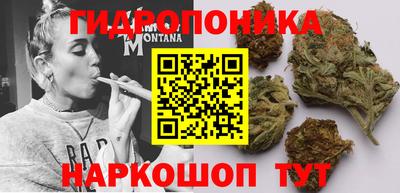 mdma Новодвинск
