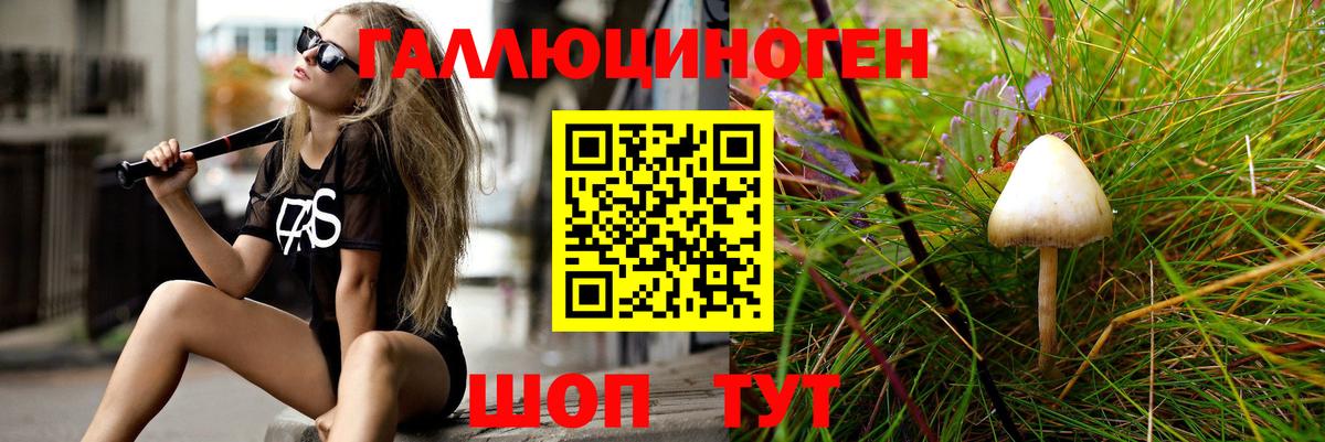 Галлюциногенные грибы Psilocybine cubensis Симферополь